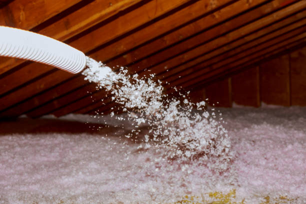Best Commercial Insulation in Breckenridge, MN